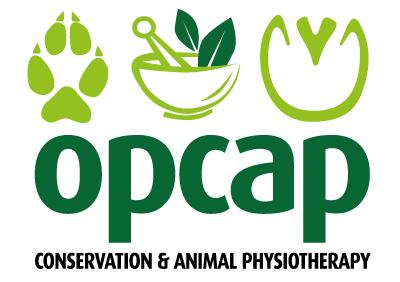 OPCAP logo